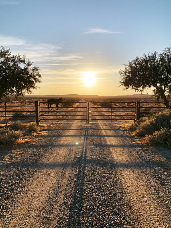 An automatic driveway gate closed across a gravel drive at an acre lot