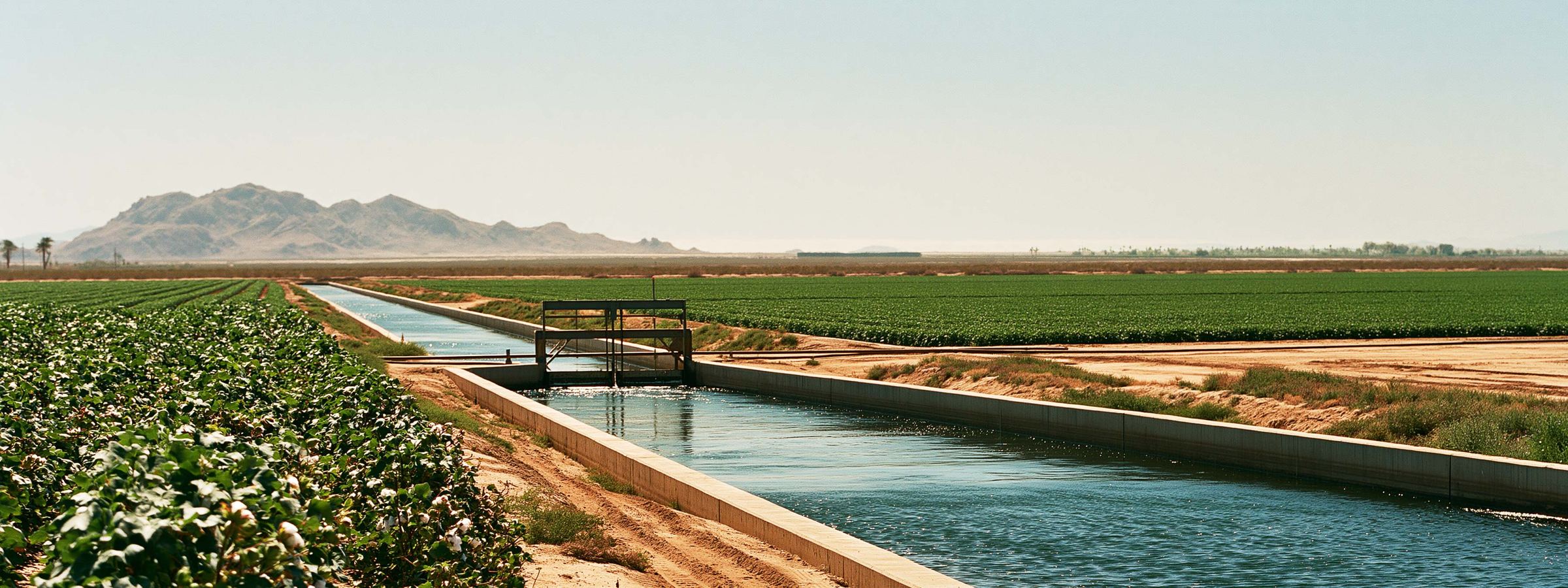 A lined irrigation canal and headgate at the edge of cotton ground near Coolidge, AZ