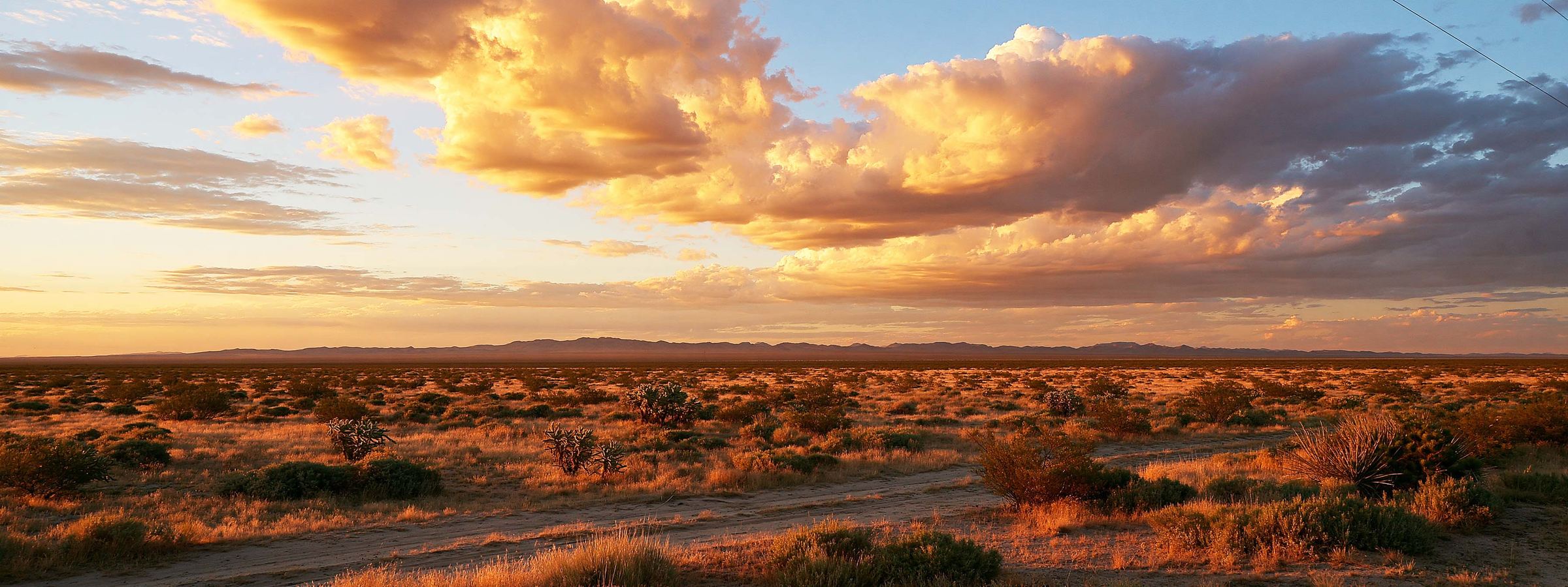 Open desert flats running to the San Tan range near San Tan Valley, AZ
